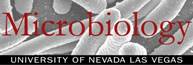 UNLV Microbiology logo and link button 